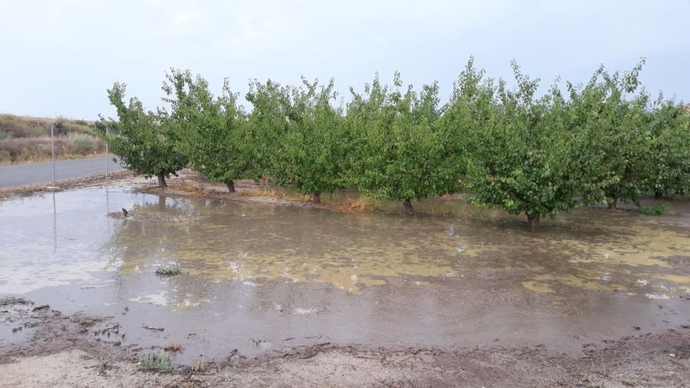 Cieza, paraje de la Parra y el Horno