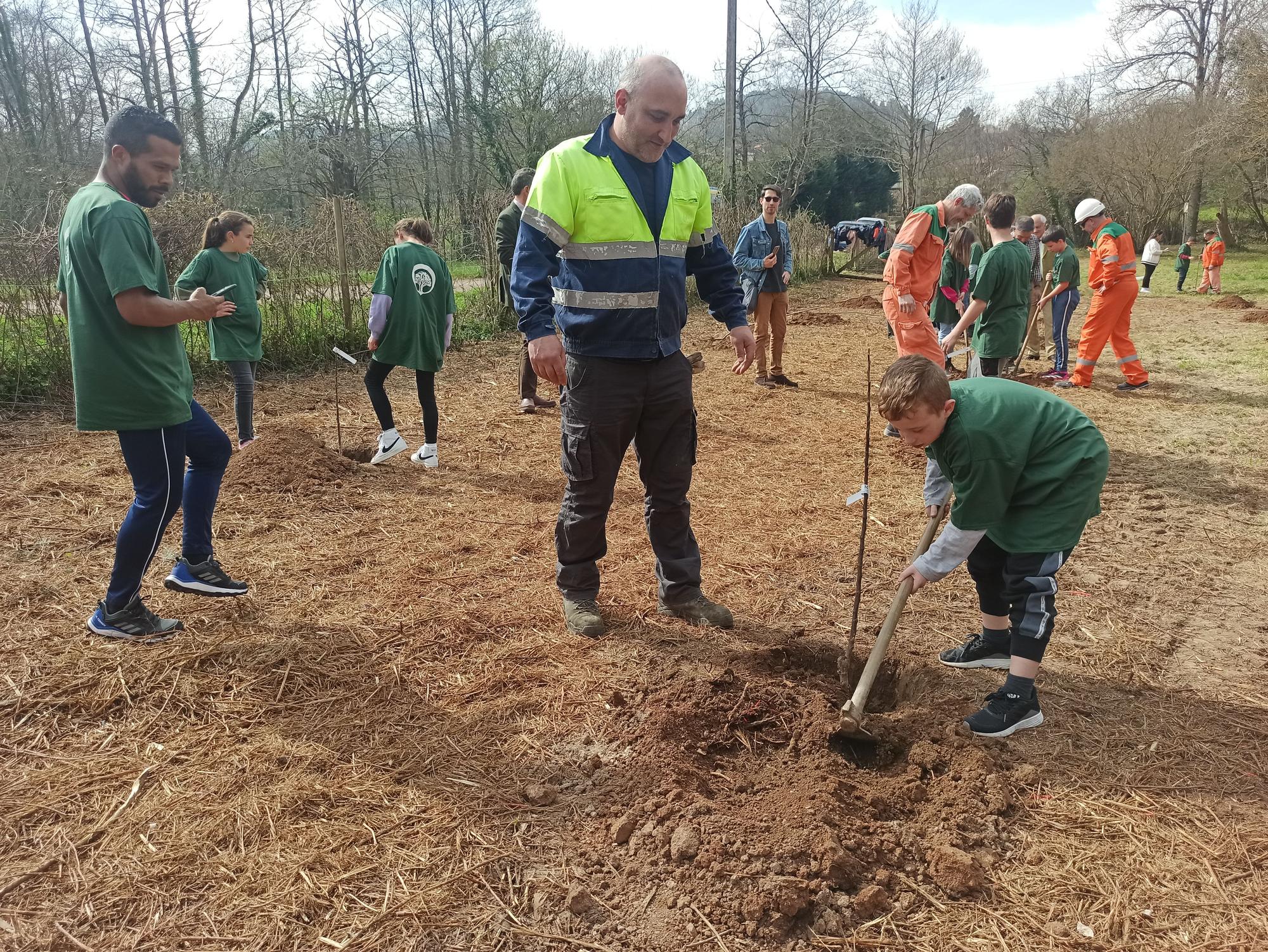 Los escolares de San Cucao ponen freno a la huella de carbono con la plantación de árboles frutales, así fue la jornada ambiental