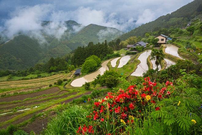 Pueblo de Tokahara, Peregrinación Kumano Kodo