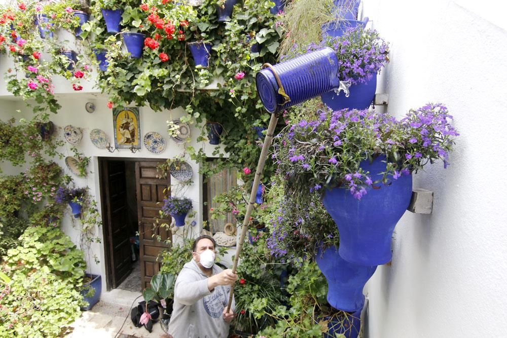 Los patios cordobeses, confinamiento interior por el coronavirus