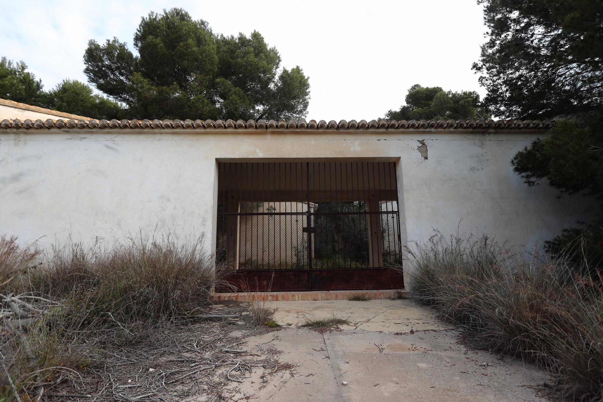 El cementerio abandonado de Moncada que te recordará a las películas de zombies