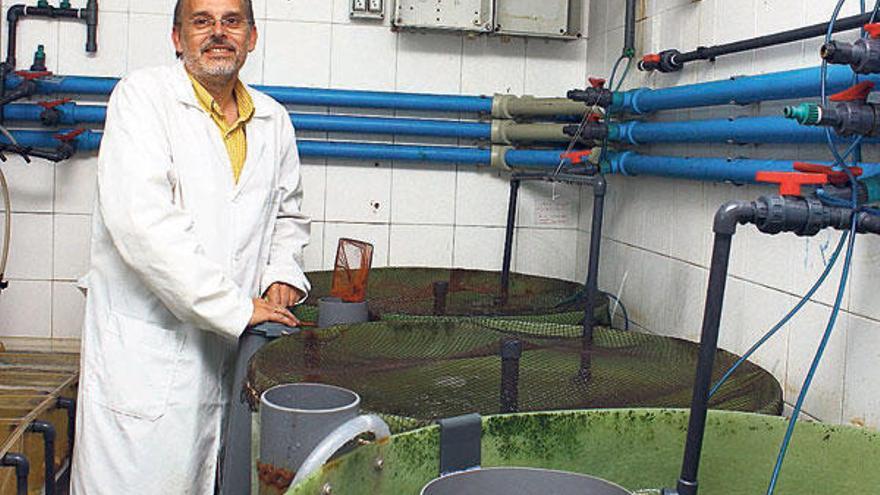 El líder del proyecto, Antonio Figueras, en los laboratorios de Investigaciones Marinas, en Bouzas.  // N.S.