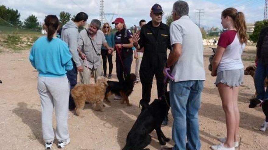 Un momento de la experiencia canina.