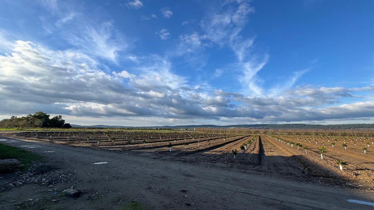 Terrenos en los que está previsto que se construya la depuradora de Posadas.