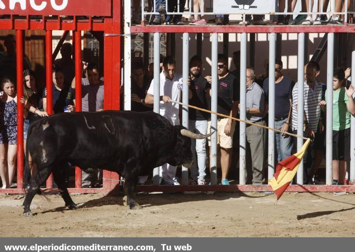 GALERÍA DE FOTOS -- Festejos en honor a Santa Quitèria