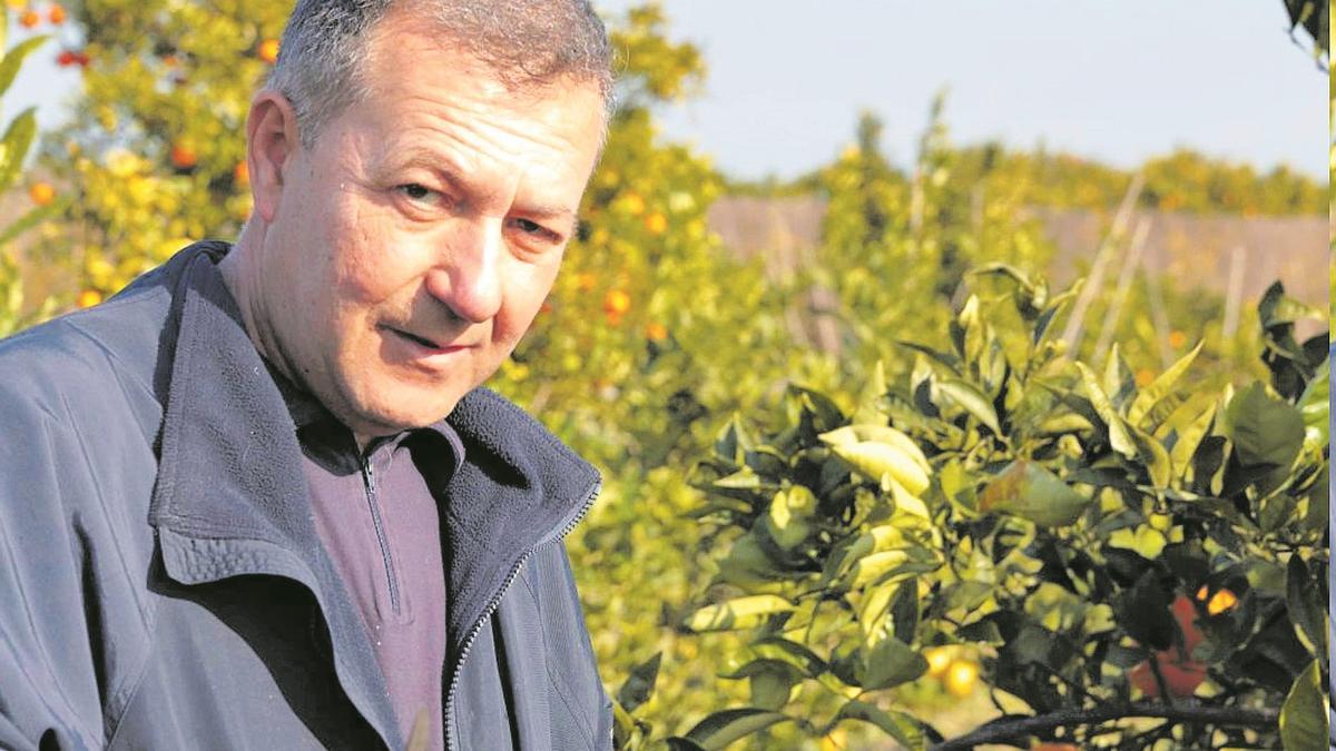 Vicent Todolí