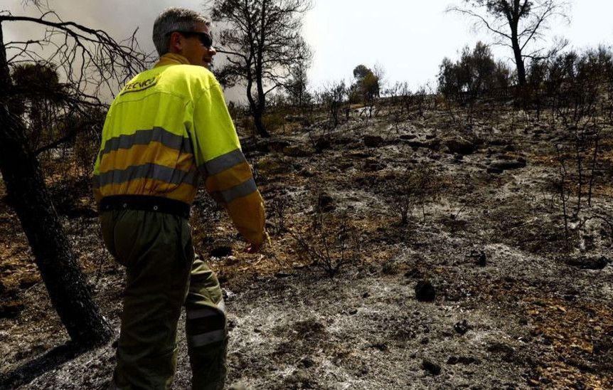 Los incendios arrasan en siete días más hectáreas que en seis años.