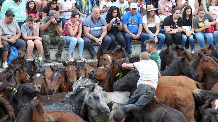 El recinto se llenó para presenciar el trabajo de los &quot;aloitadores&quot;. // Bernabé/J.Carlos Asorey