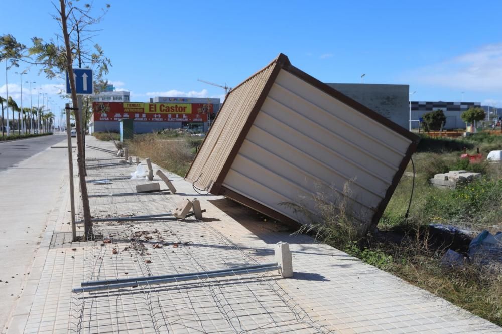 Destrozos del viento en Sagunt