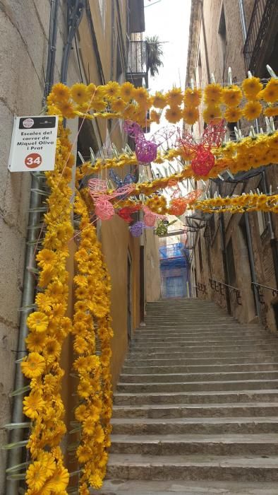 Girona, Temps de Flors 2019