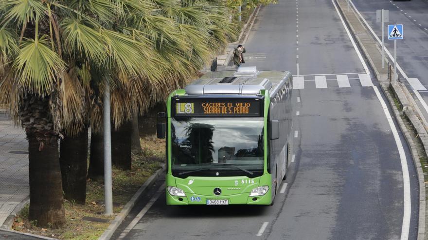 Vecinos de Cáceres piden reforzar la línea 8 del autobús urbano