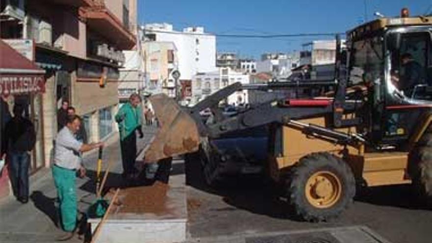 El consistorio pondrá las plantas en Vistahermosa