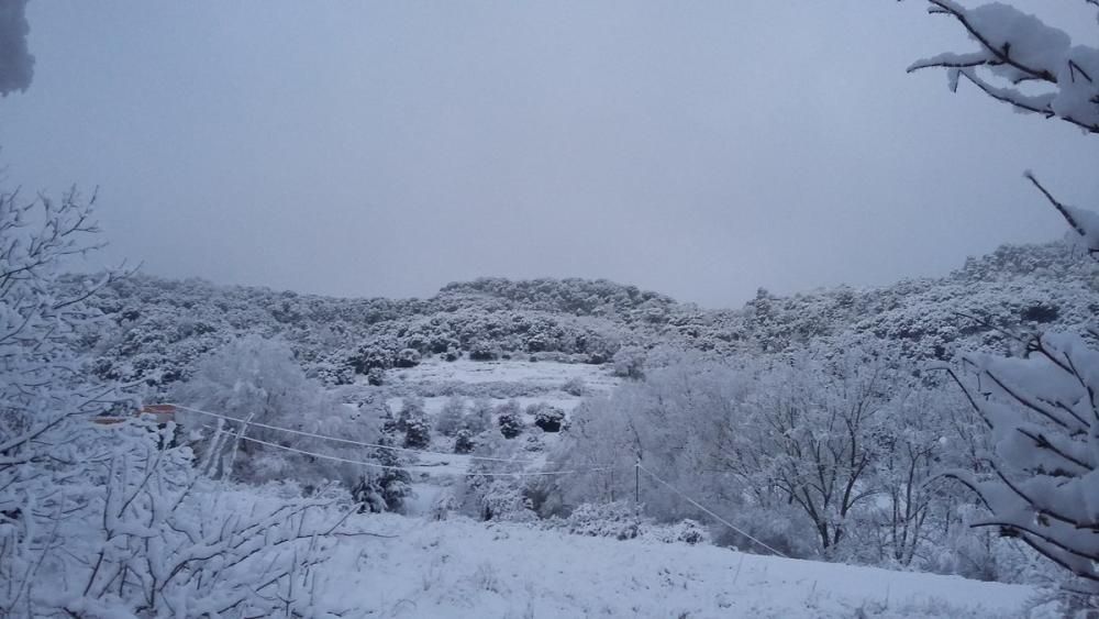 La neu deixa postals blanques al Moianès