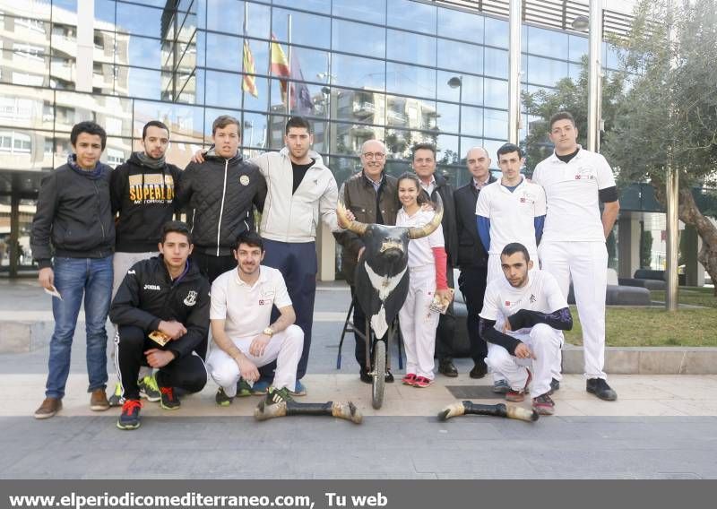 GALERÍA DE FOTOS -- Demostración de recortadores en Almassora