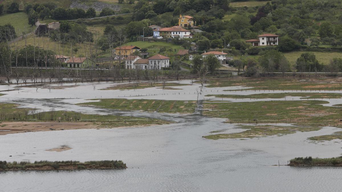 Ría de Villaviciosa