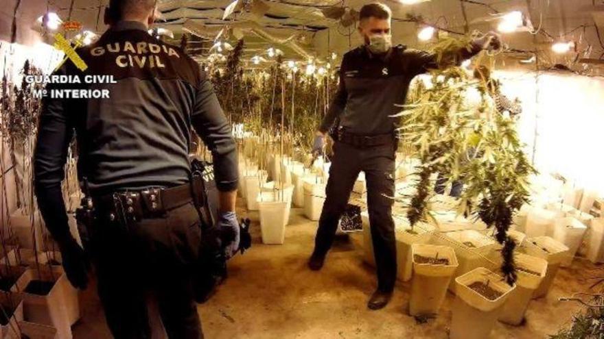 Cinco detenidos en la mayor incautación de marihuana en Valencia