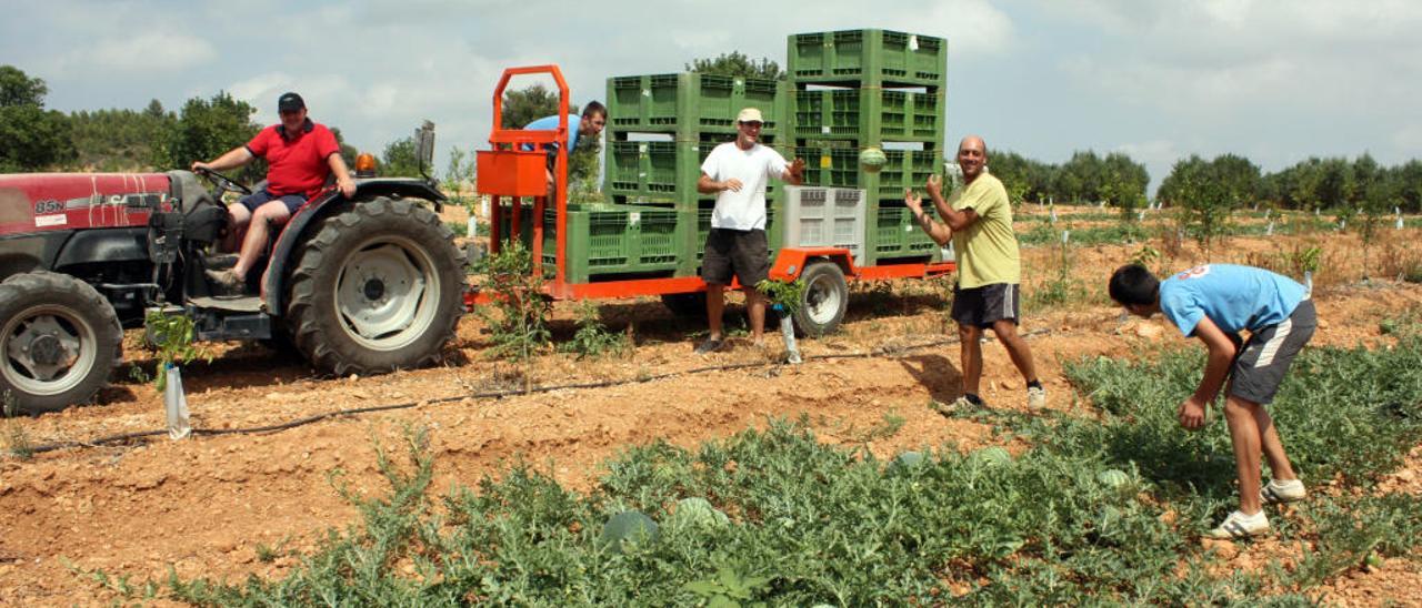 La &#039;Xylella&#039; y la sequía cambian el paso a los negocios agrarios