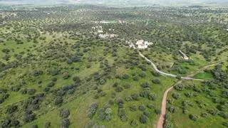 El parque San Martín de Añora, línea divisoria de las cuencas del Guadiana y del Guadalquivir
