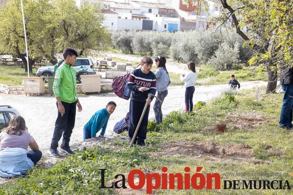 Reforestación en el paraje 'La Muralla' de Archive