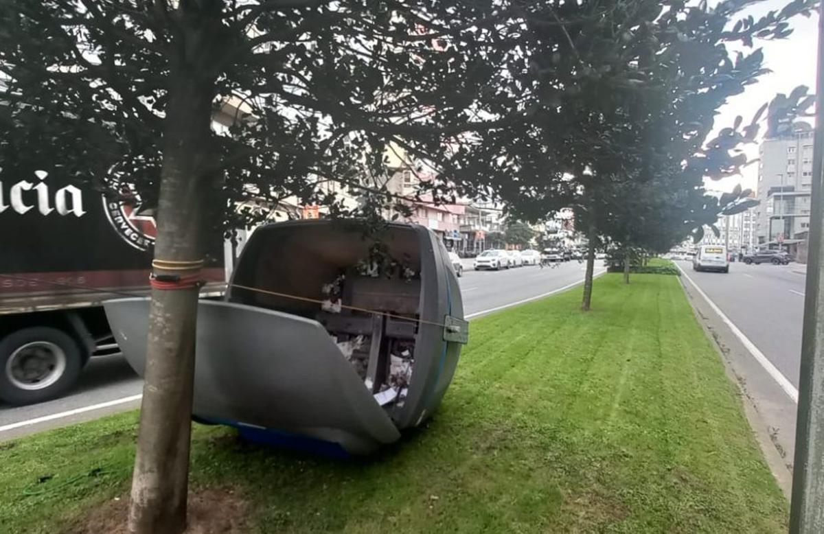 Un contenedor atado a un árbol por un vecino. | LOC