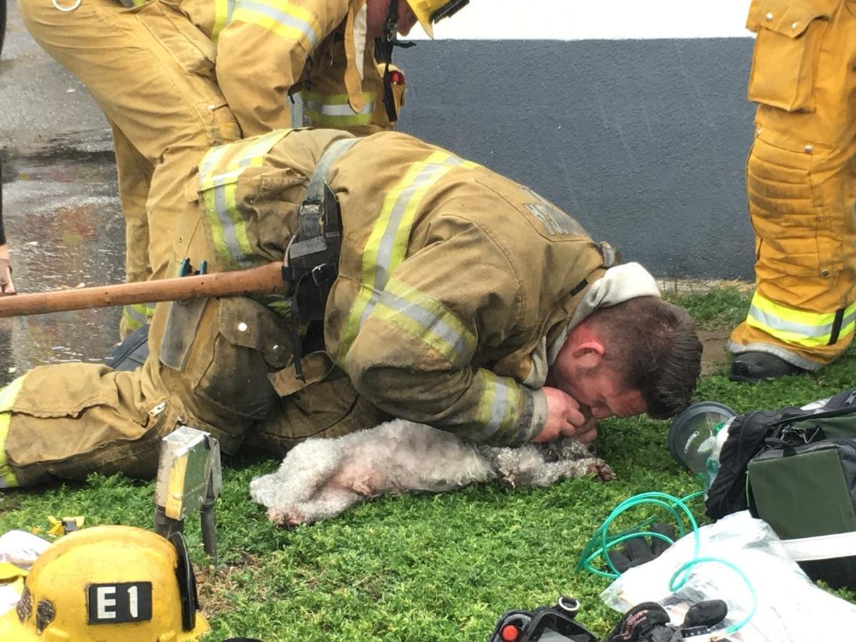 bombero-1-billy-fernando-santa-monica-fire-department