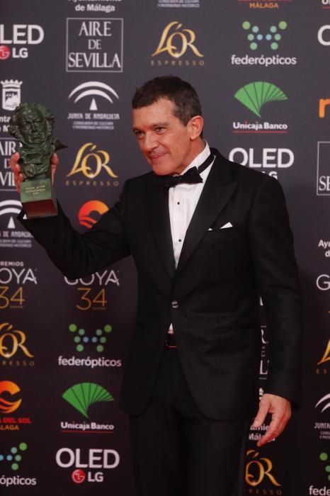 Antonio Banderas, Goya a Mejor Actor por 'Dolor y Gloria'.