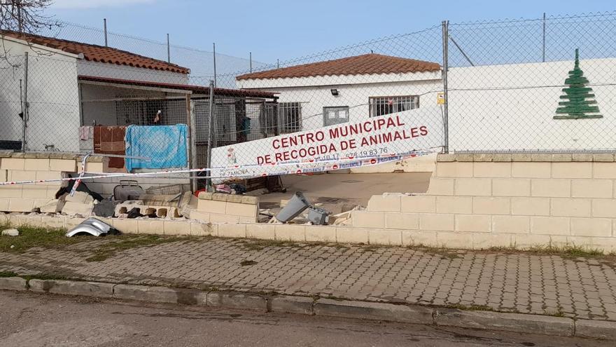 Centro Municipal de Recogida de Animales, tras el accidente