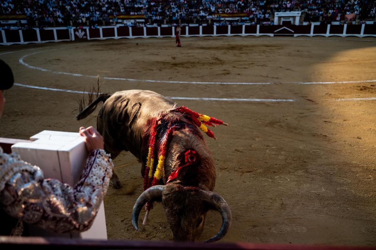 Galería | Así fue la segunda de abono de la feria de Cáceres Galería | Así fue la segunda de abono de la feria de Cáceres