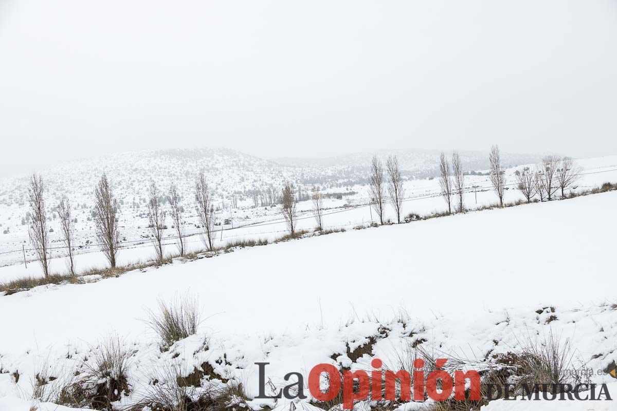 La comarca del Noroeste ofrece una estampa invernal