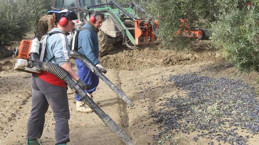 La Junta comienza a abonar el anticipo del pago único de la PAC