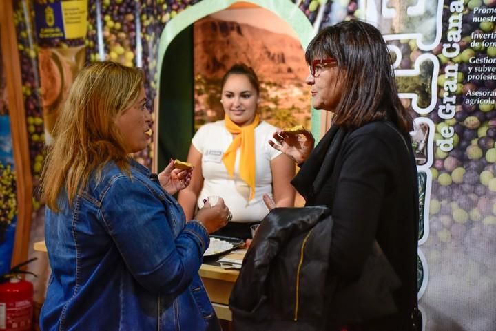 Inaguracion  de la Feria Triana Celebra la ...