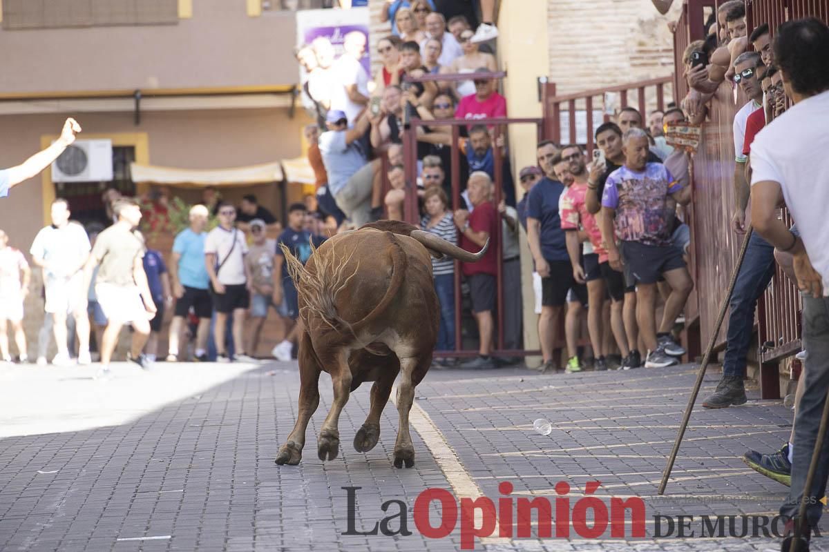 Tercer encierro de las Fiestas de Moratalla
