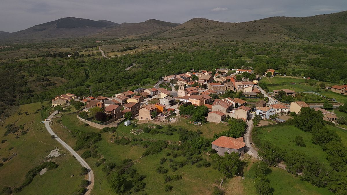 Madarcios