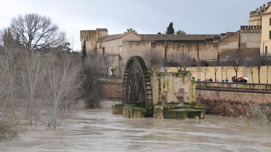 El PP llevará al pleno una moción para exigir a la CHG actuaciones urgentes en arroyos y ríos de Córdoba y provincia