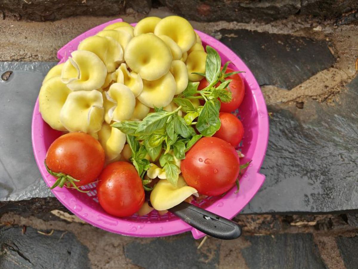 Tapani Kotisaari junto a la caja de plantación que ha instalado en el jardín (1). El docente también ha creado un secador solar casero (2). Las cosechas pueden alimentar a una familia pequeña y servir como complemento para una dieta vegetariana. Aquí, como ejemplo, las usa en una ensalada (3).  | ARI Y TAPANI KOTISAARI