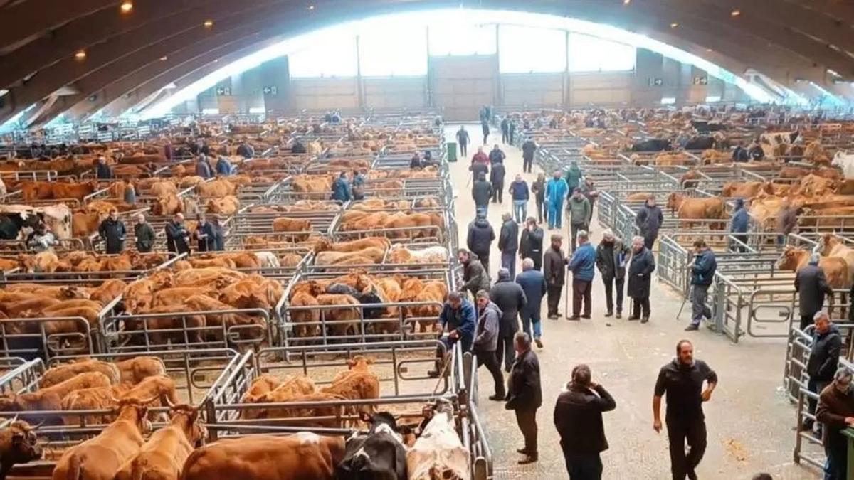 El mercado de ganado de Pola de Siero