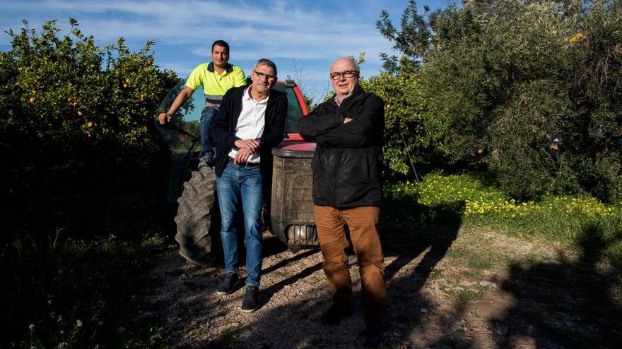 Agricultores en un campo de La Safor.