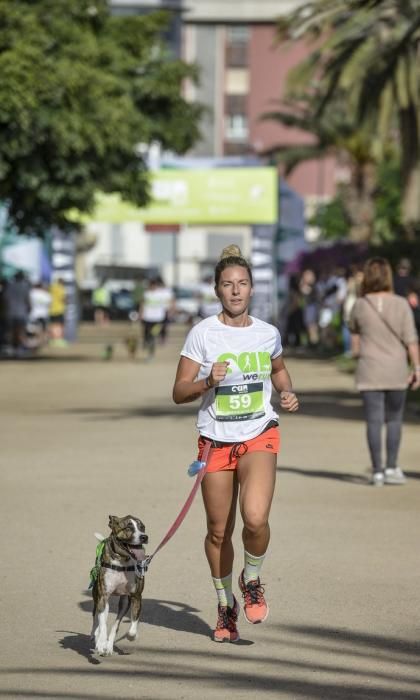 16/12/2018 LAS PALMAS DE GRAN CANARIA. Carrera ...