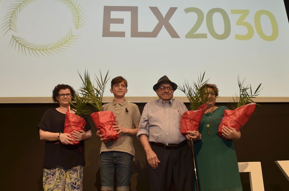 Presentación Elx Verda 2030