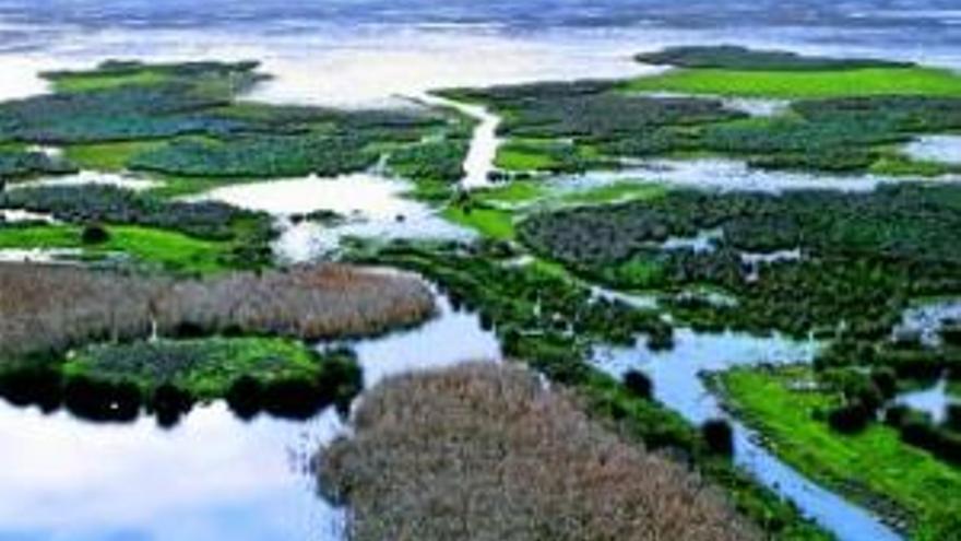 Medio Ambiente refuerza la protección del litoral de Doñana