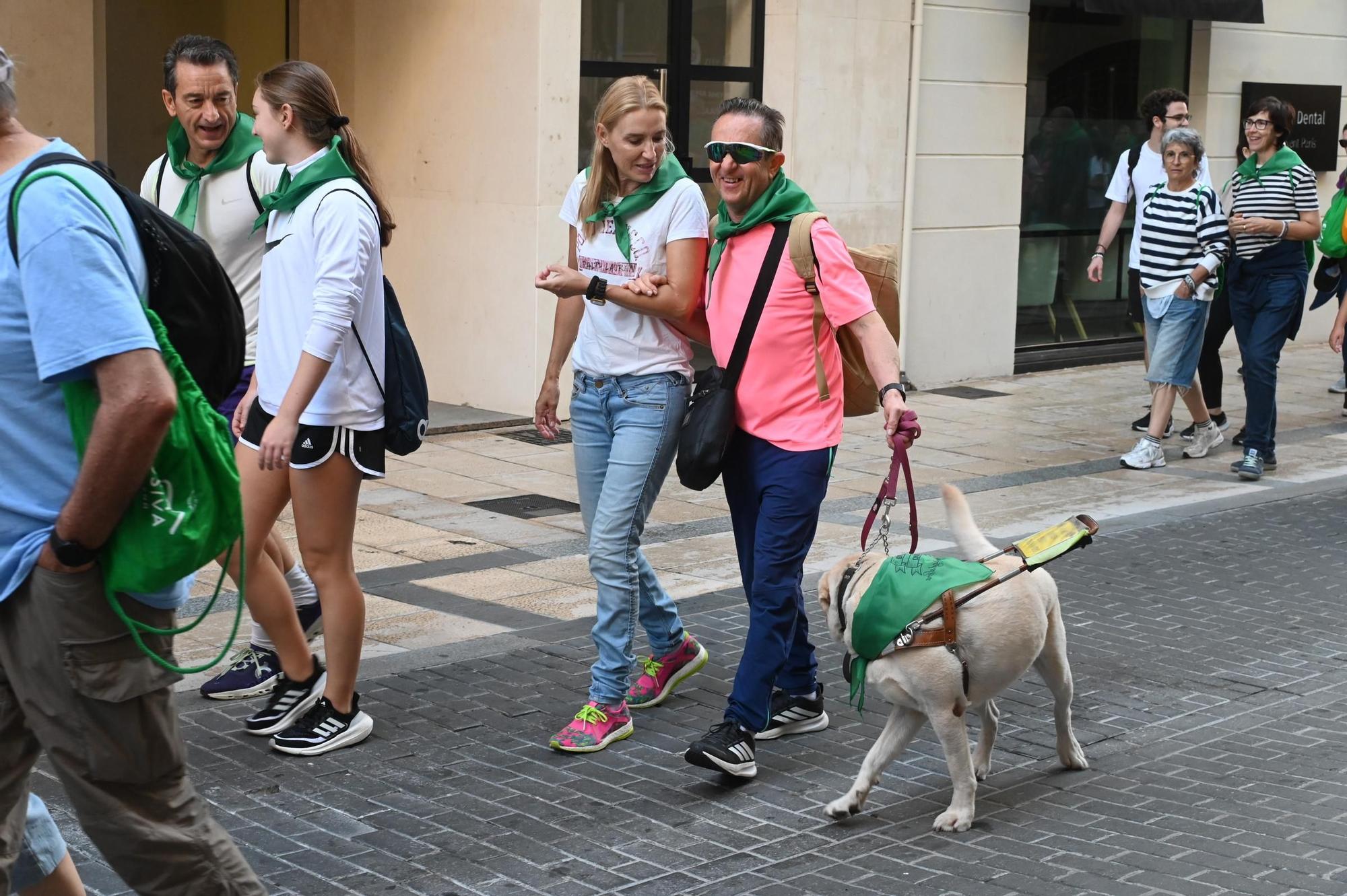 Las mejores imágenes de una romería inclusiva única en España celebrada en Castelló