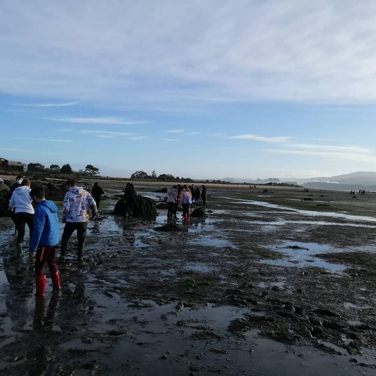 Los alumnos pudieron estudiar las praderas marinas sobre el terreno..jpg