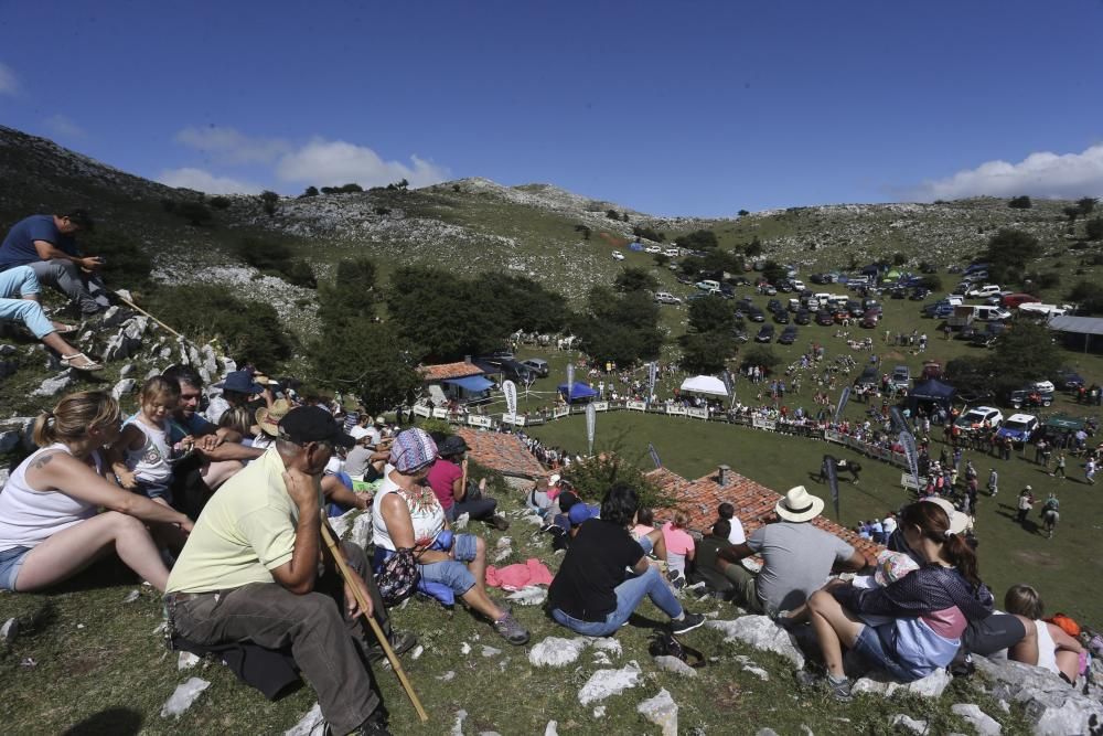 Fiesta del Asturcón en El Sueve