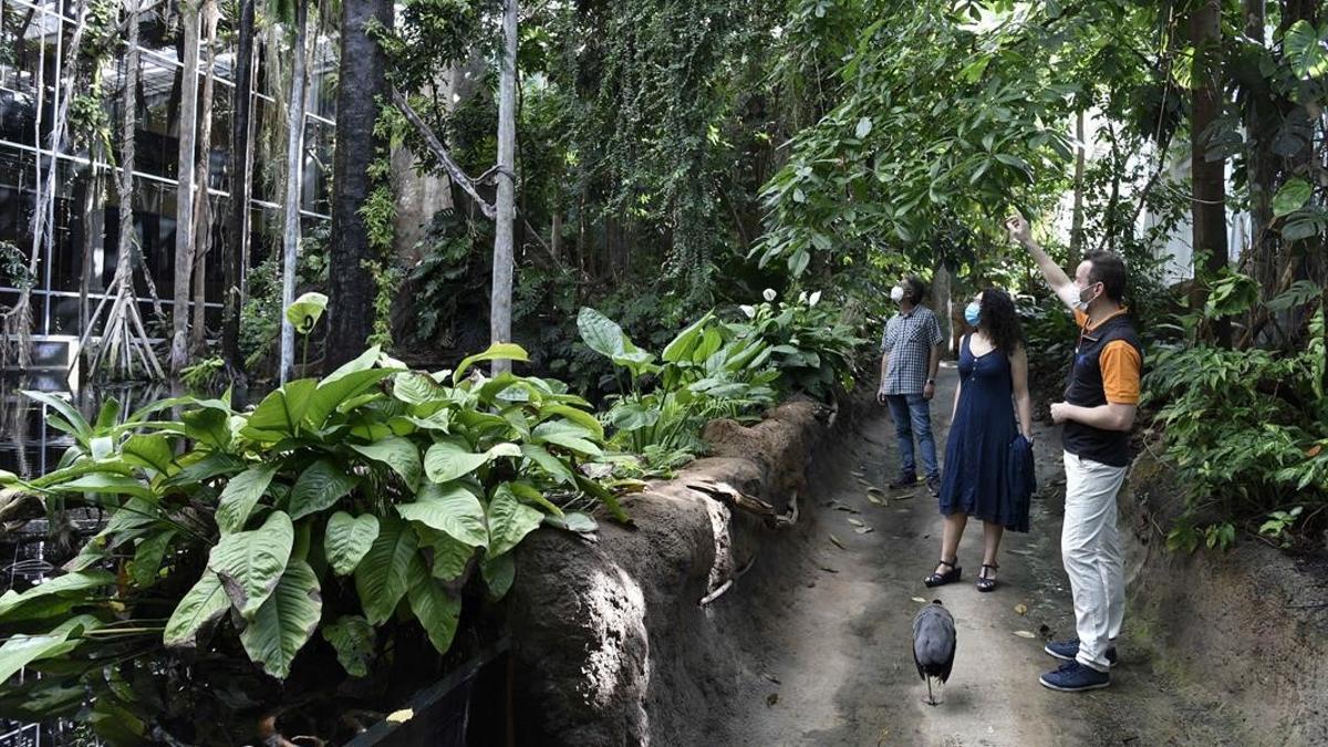 ONBARCELONA EL BOSQUE INUNDADO