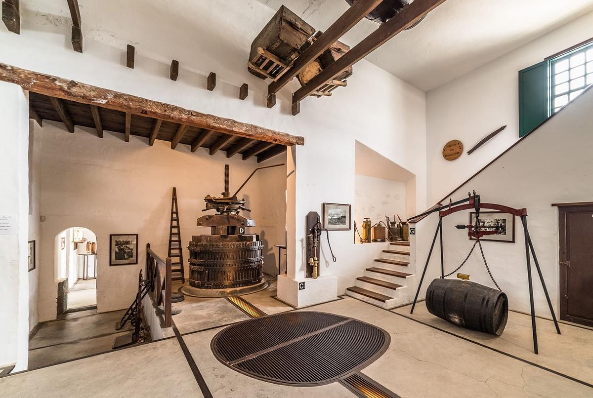 Museo El Grifo
