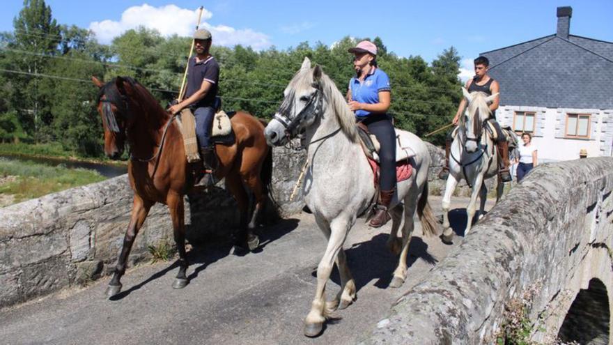 Los cerca de 180 ejemplares de la ganadería equina a su paso por El Puente de Sanabria, donde han sido el centro de las miradas, hasta los pastos de Ilanes. | Araceli Saavedra