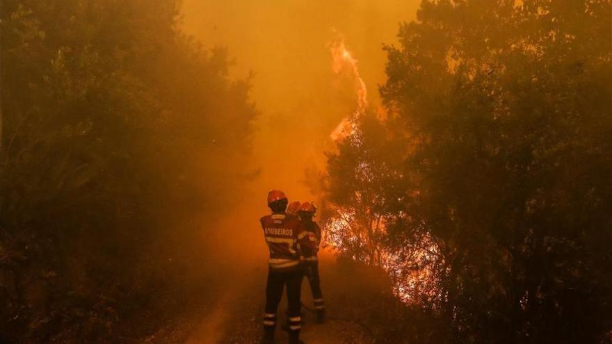 Cae en Pedrógão Grande un avión Canadair cuando combatía el fuego