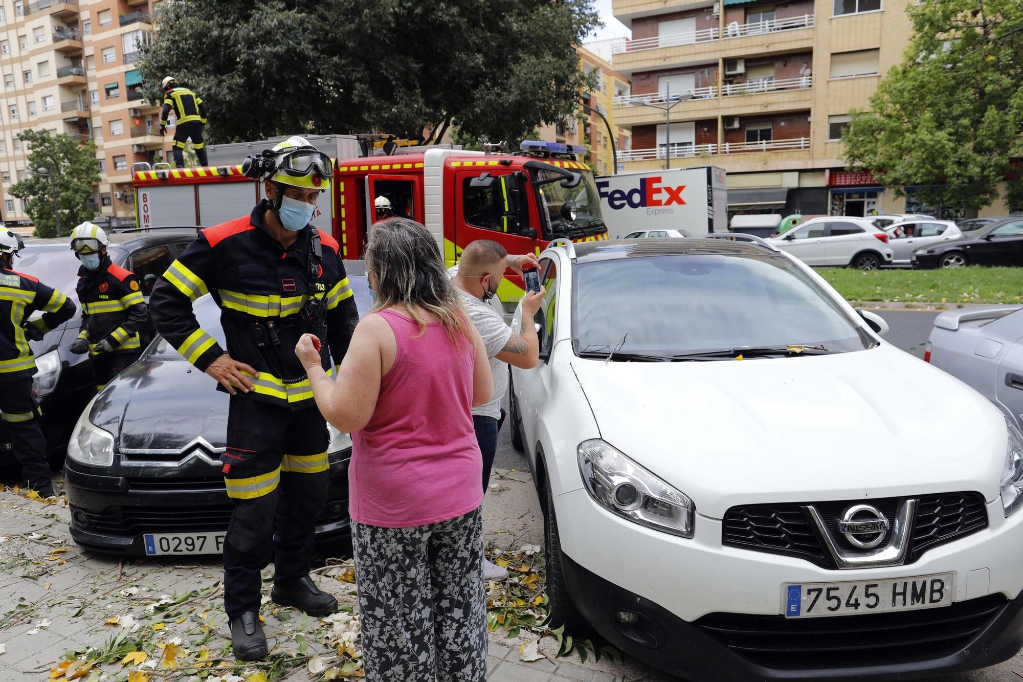 Daños provocados por el fuerte temporal de viento y lluvia en València