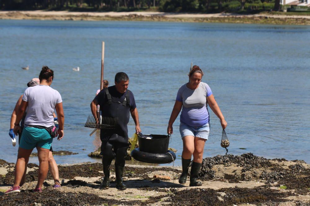 Marisqueo en Arousa