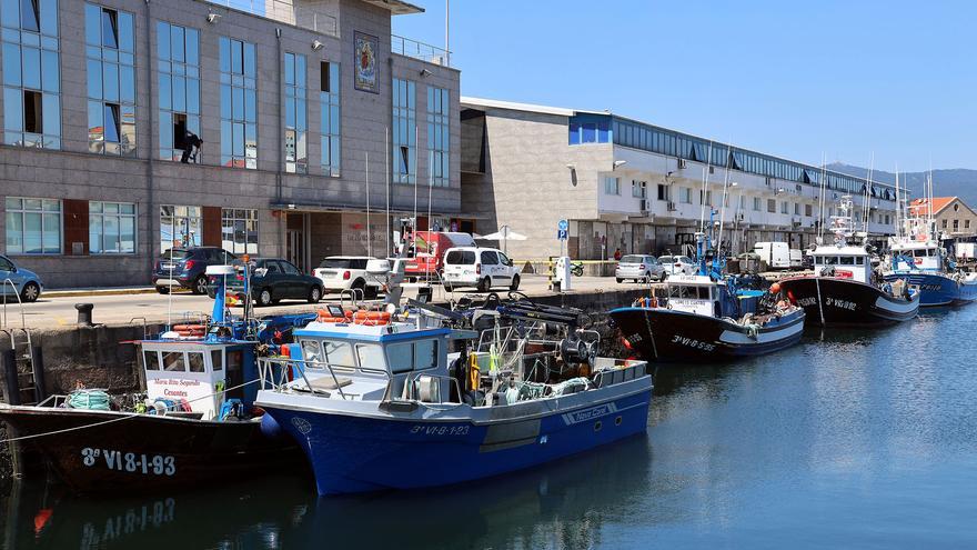El cerco gallego alquilará cuota de sardina al Golfo de Cádiz para resistir hasta octubre